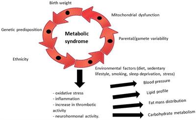 Metabolic syndrome therapy in pediatric age — between classic and modern. From diets to pipeline drugs